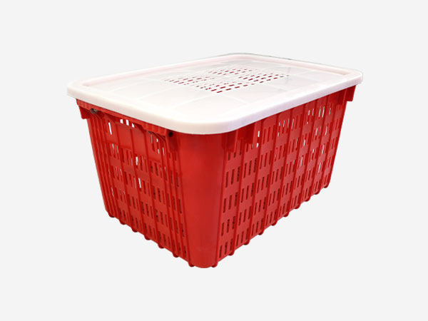 725-380厚籮帶蓋1 725-380厚籮帶蓋1